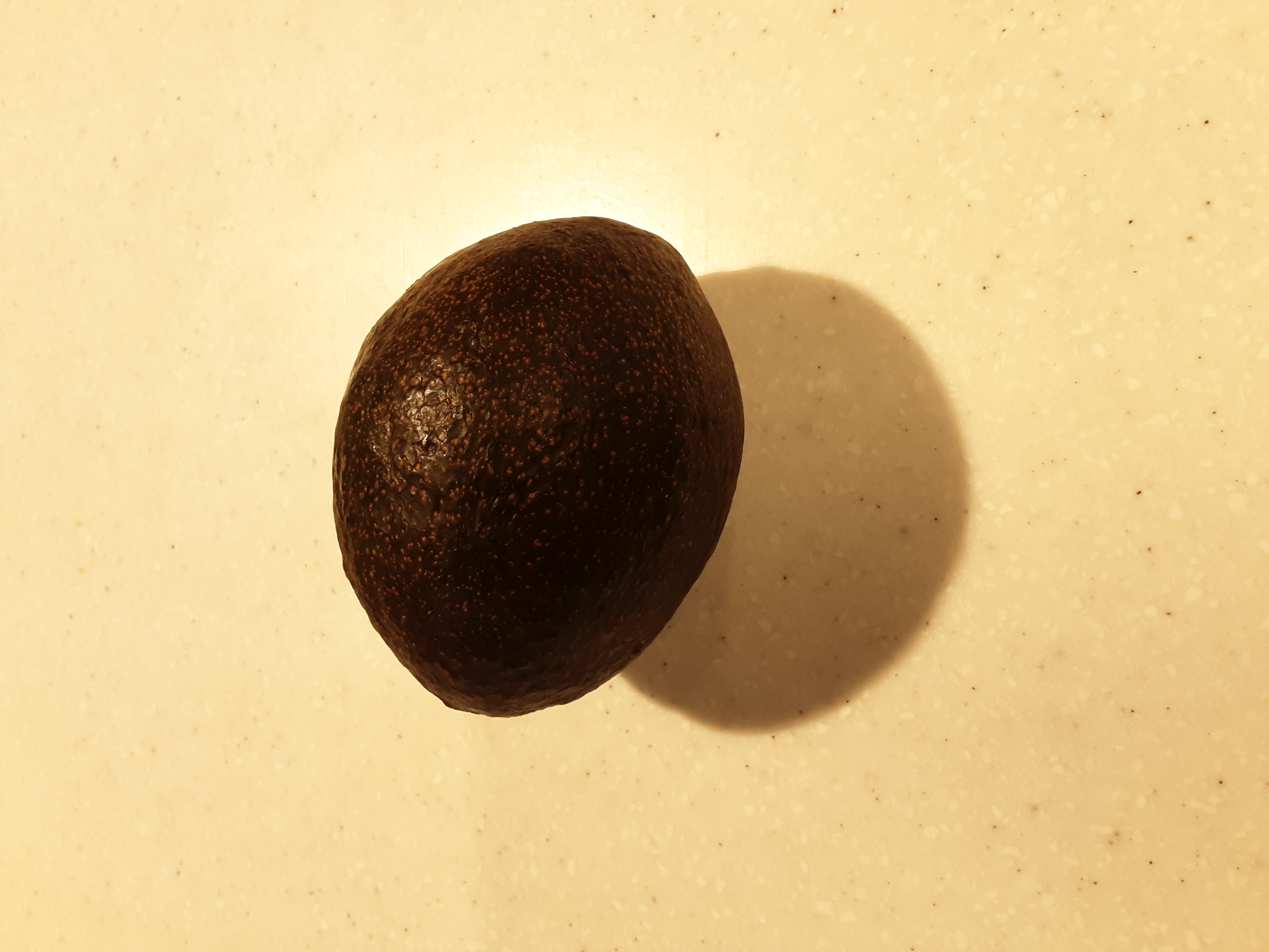 CO OP RIPE AVOCADO